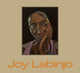 Book cover of: Joy Labinjo