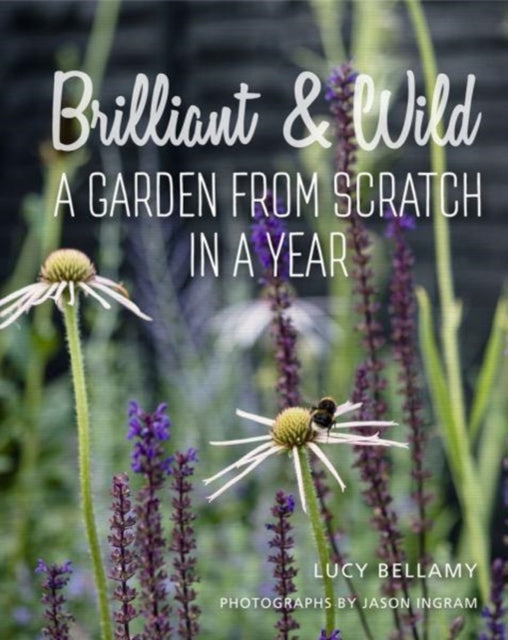 Book cover of: Brilliant and Wild. By: Lucy Bellamy