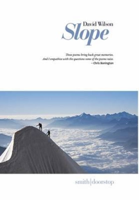 Book cover of: Slope. By: Davud WILSON