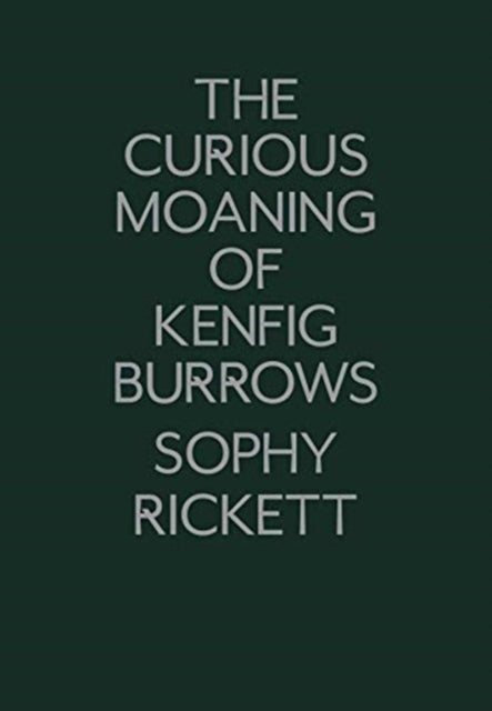 The Curious Moaning of Kenfig Burrows