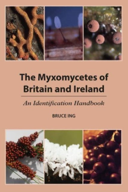 Book cover of: Myxomycetes of Britain and Ireland. By: Bruce Ing