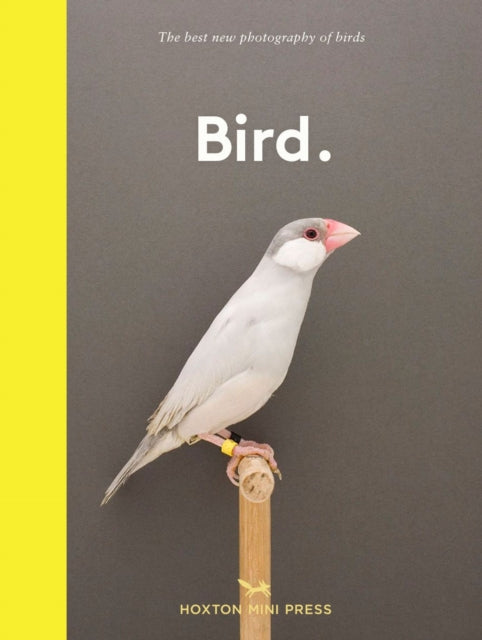 Book cover of: Bird.. By: Hoxton Mini Press