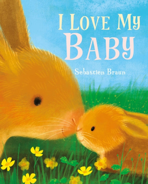 Book cover of: I Love My Baby. By: Sebastien Braun