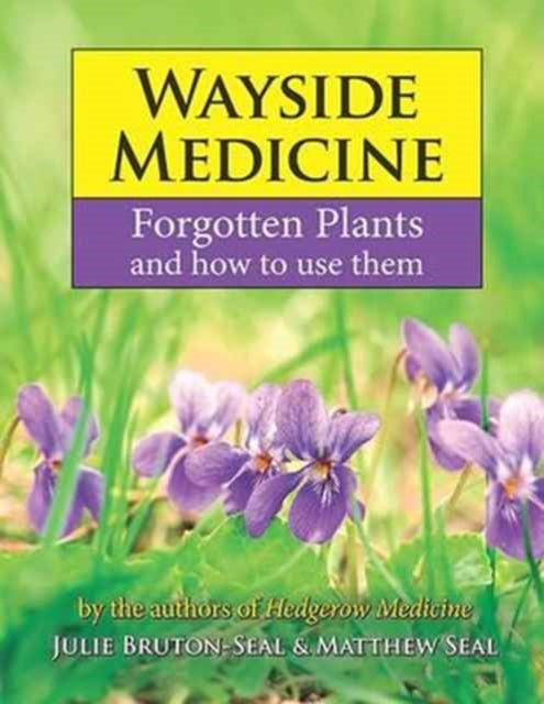 Wayside Medicine, Forgotten Plants and how to use them 9781910723357 Julie Bruton-Seal