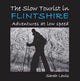 Book cover of: Slow Tourist in Flintshir