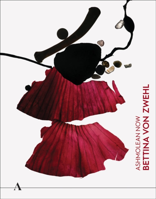 Book cover of: Ashmolean NOW: Bettina von Zwehl. By: Ciara Ennis