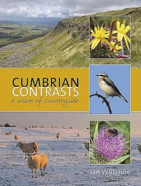 Book cover of: Cumbrian Contrasts
