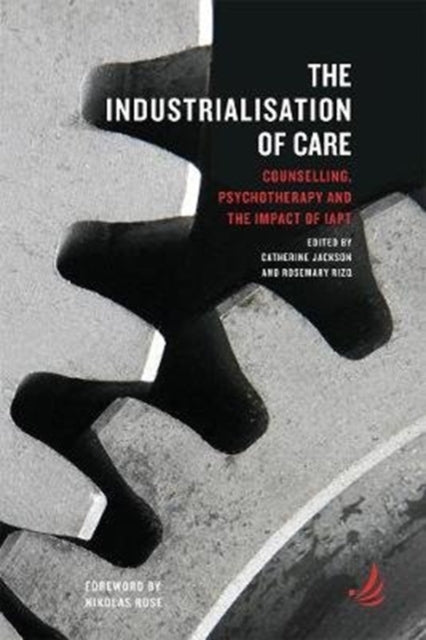 Book cover of: Industrialisation of Care