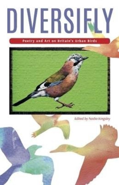 Book cover of: Diversifly