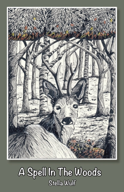 Book cover of: Spell in The Woods