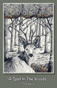 Book cover of: Spell in The Woods