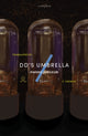 dd's Umbrella 9781911284949 Hwang Jungeun