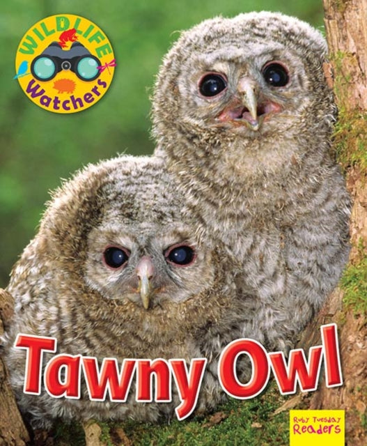 Book cover of: Wildlife Watchers: Tawny Owl. By: Ruth Owen