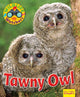 Book cover of: Wildlife Watchers: Tawny Owl. By: Ruth Owen