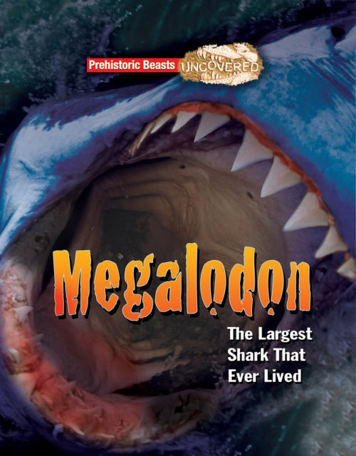 Book cover of: Megalodon. By: Dougal Dixon