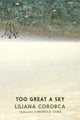 Book cover of: Too Great A Sky. By: Liliana Corobca