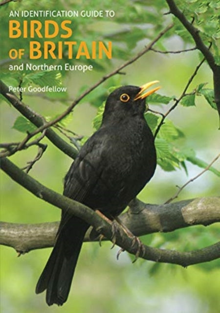 Book cover of: Identification Guide to Birds of Britain and Northern Europe (2nd edition). By: Peter Goodfellow