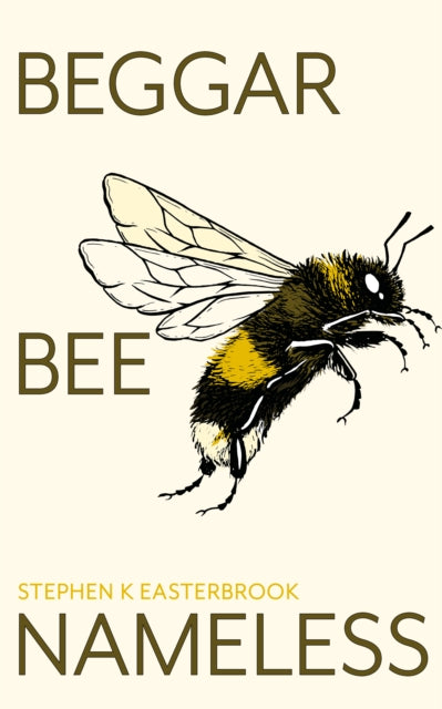 Book cover of: Beggar Bee Nameless. By: Stephen K. Easterbrook