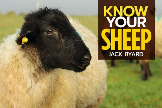 Know Your Sheep 9781912158508 Jack Byard
