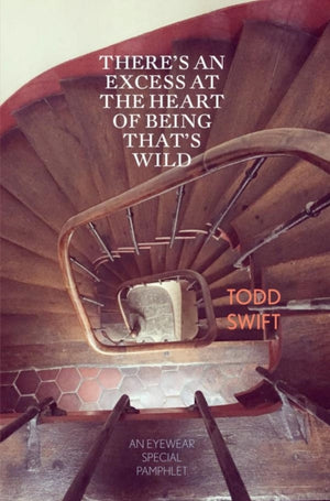 There's An Excess At The Heart Of Being That's Wild