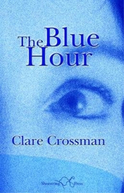 Book cover of: Blue Hour