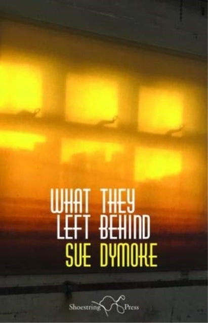 Book cover of: What They Left Behind. By: Sue Dymoke