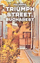 Book cover of: Triumph Street, Bucharest. By: HOENIG