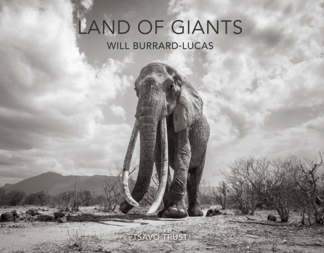 Book cover of: Land of Giants