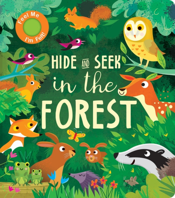 Book cover of: Hide and Seek In the Forest. By: Rachel Elliot