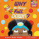 Book cover of: Why do things fall down?