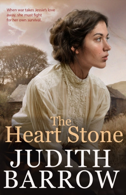 Book cover of: Heart Stone. By: Sera Moore Williams
