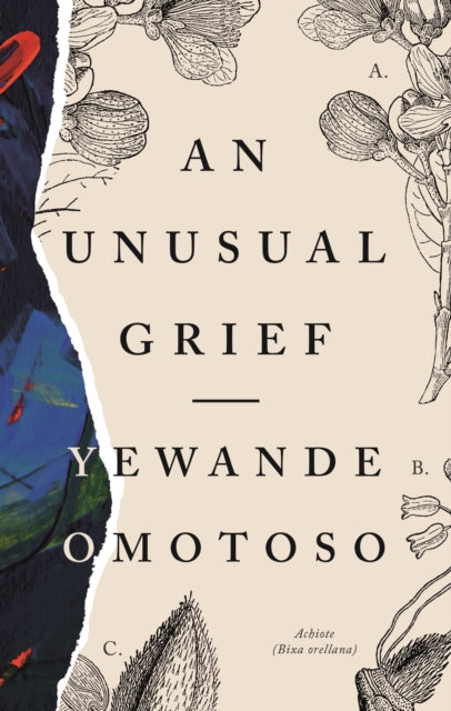 Book cover of: Unusual Grief. By: Yewande Omotoso
