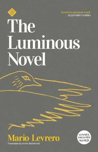 Book cover of: Luminous Novel. By: Mario Levrero