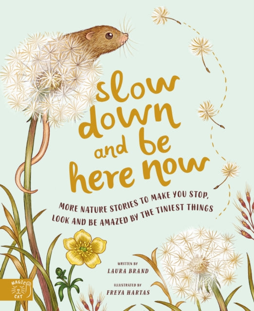 Slow Down and Be Here Now, More Nature Stories to Make You Stop, Look and Be Amazed by the Tiniest Things 9781913520656 Laura Brand
