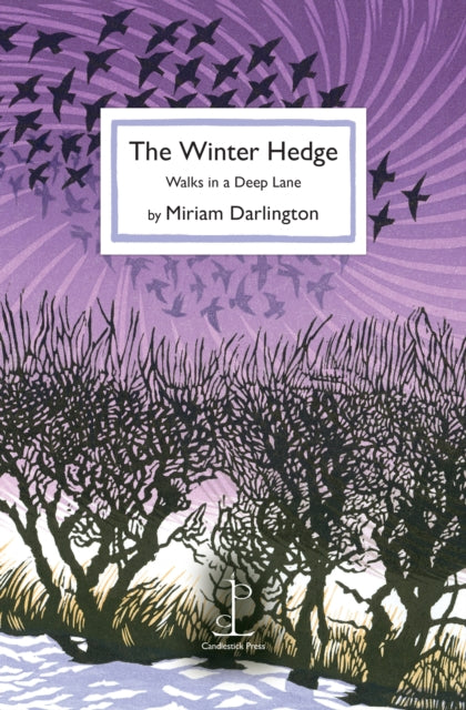 Book cover of: Winter Hedge