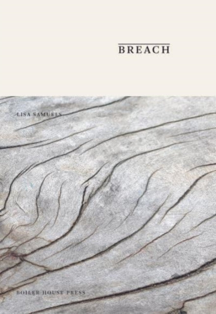 Book cover of: Breach. By: SAMUELS