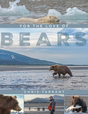 For The Love Of Bears