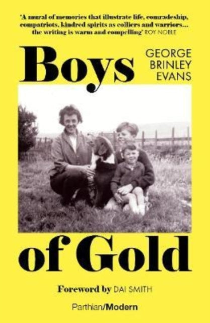 Book cover of: Boys of Gold. By: G. B. EVANS