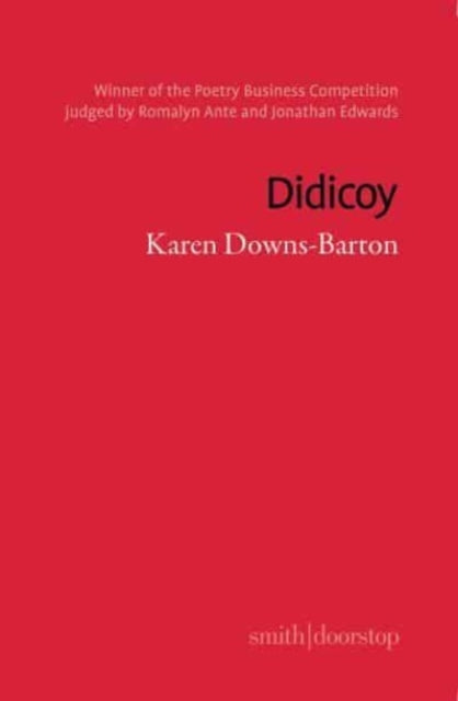 Book cover of: Didicoy. By: DOWNS-BARTON