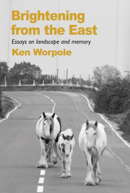 Book cover of: Brightening from the East