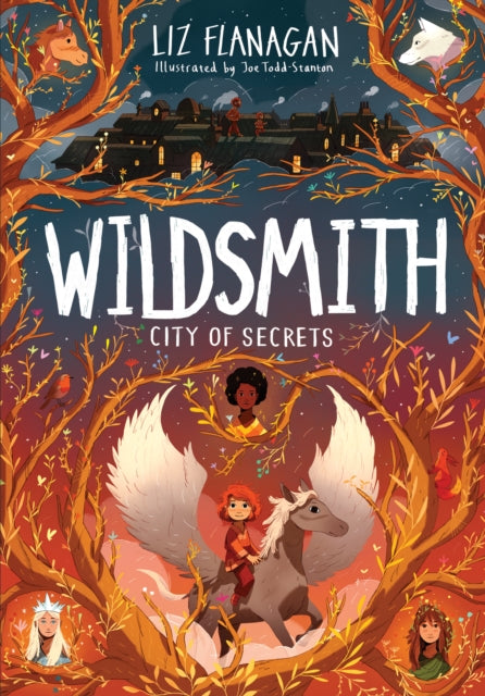 City of Secrets, The Wildsmith #2 9781915235077 Liz Flanagan