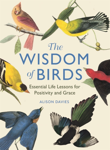 Book cover of: Wisdom of Birds. By: Alison Davies