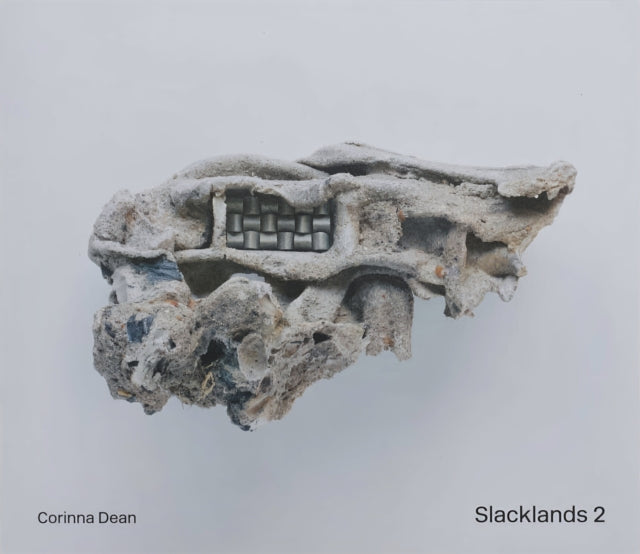 Book cover of: Slacklands 2