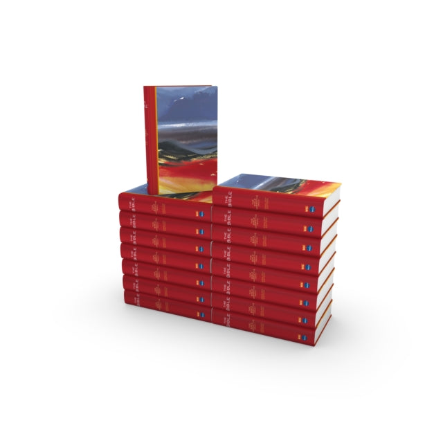Book cover of: Bible: Pack of 16