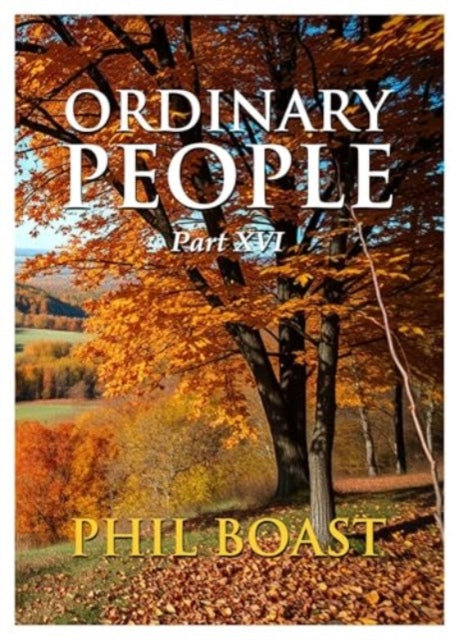 Book cover of: Ordinary People XVI