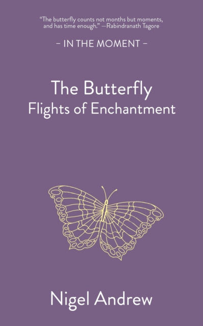 Butterfly, Flights of Enchantment