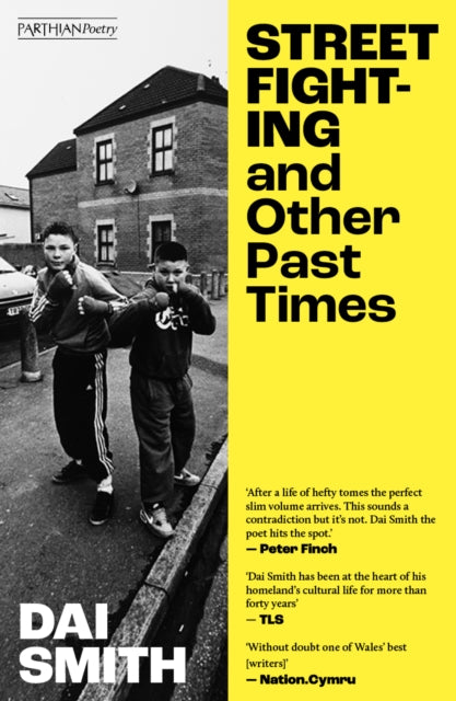 Book cover of: Street Fighting and Other Past Times. By: Dai Smith