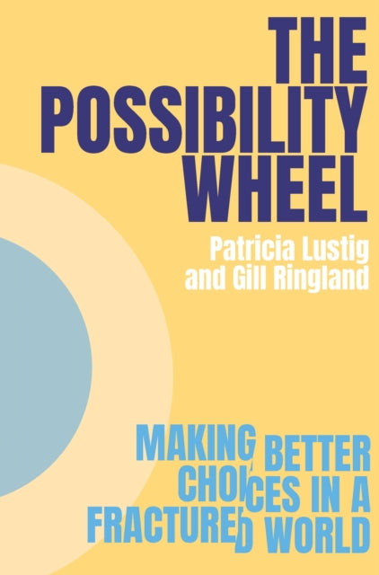 Book cover of: Possibility Wheel