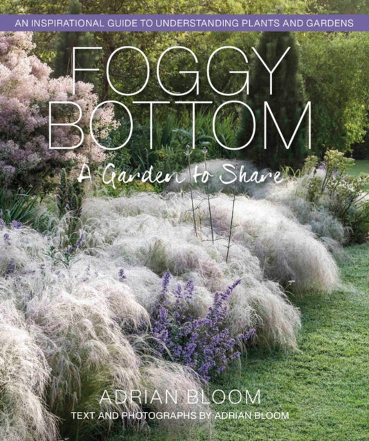Book cover of: Foggy Bottom
