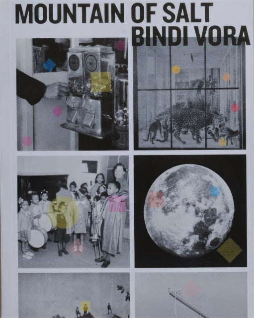 Book cover of: Mountain of Salt. By: Bindi Vora